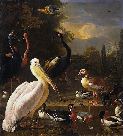 HONDECOETER, Melchior d A Pelican and Other Birds Near a Pool, china oil painting image